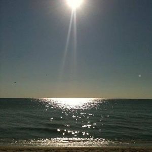 Meet your Posher, Fareeha